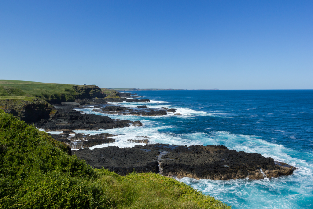 Day Trips From Melbourne: Phillip Island