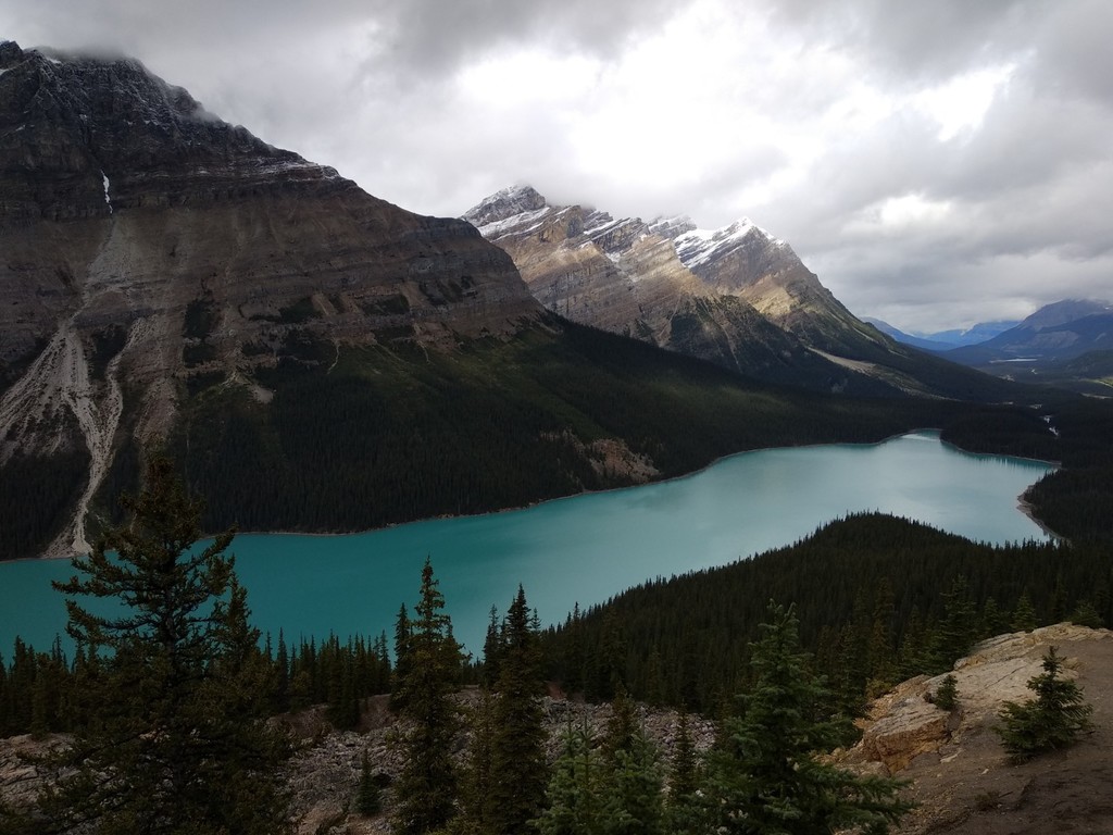 Peyto Lake, Canadian Rockies